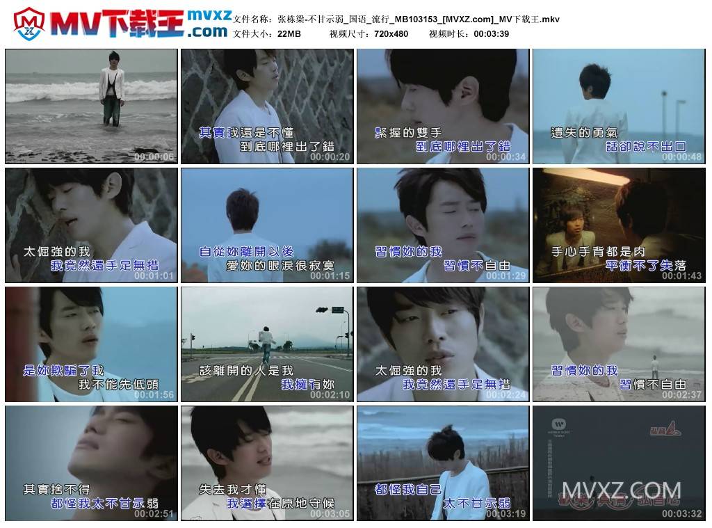 张栋梁-不甘示弱_国语_流行_MB103153